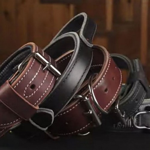 dog collars