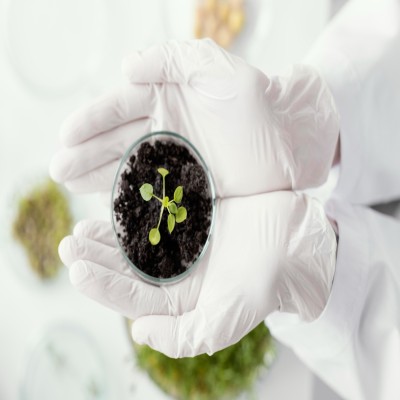 Plant Biostimulants Products