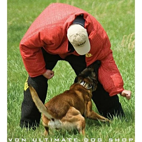 dog training equipment
