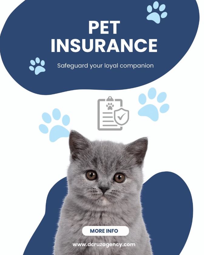 life insurance New Brunswick NJ