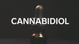 CBD For Pet: Many Things To Know