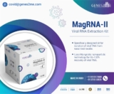 Why Covid-19 Antibody Test Is More Important Than You Think