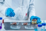 Why Protein Production Services Support Faster Biologic Development?