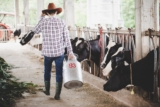 What Are Calf Creep Feeders and Why They’re a Game-Changer for Your Farm?