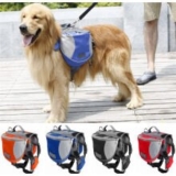 Hunting Dog Supplies – Essentials for a Successful Hunting Trip